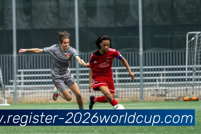 世界杯买球注册平台生态图